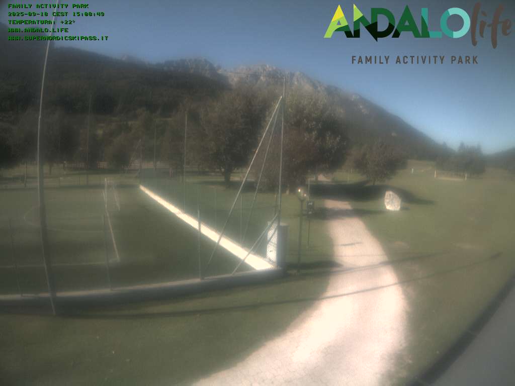 Camera Live Image