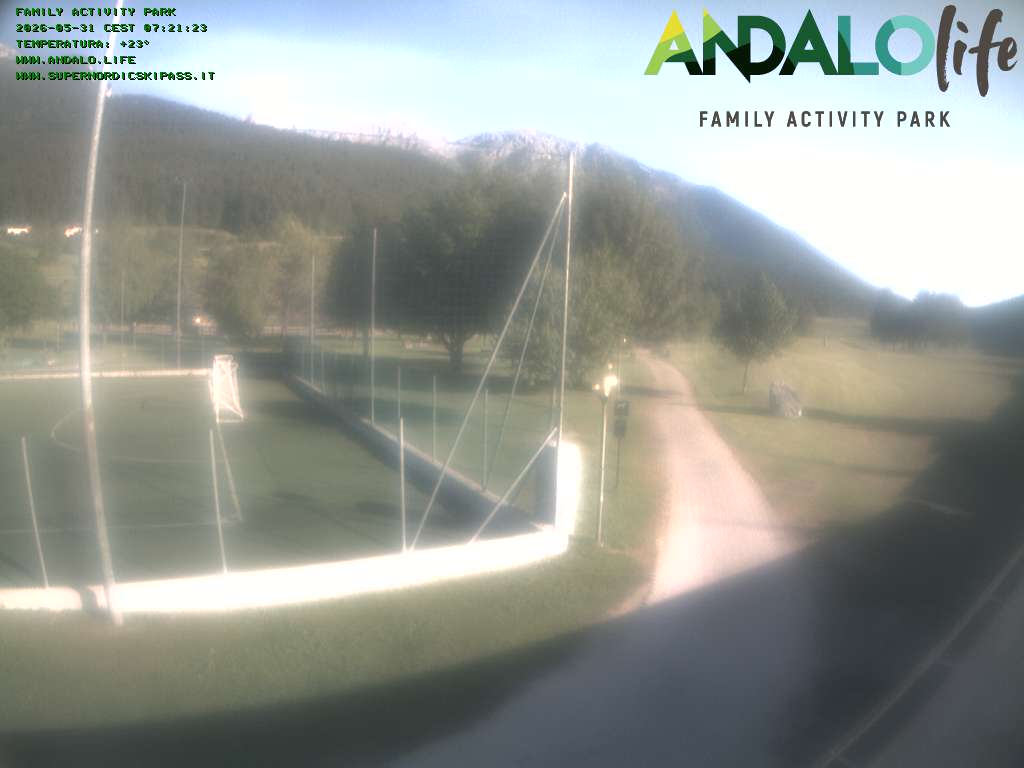 Camera Live Image