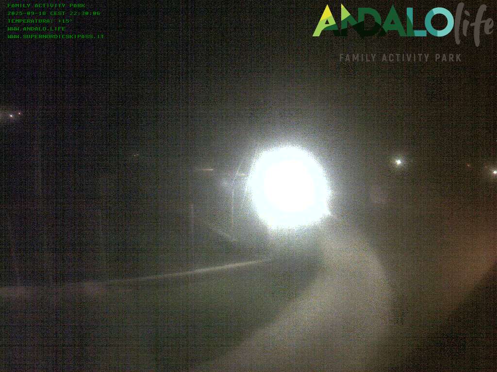 Camera Live Image
