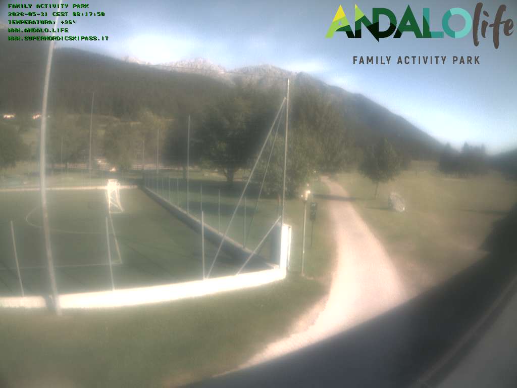 Camera Live Image