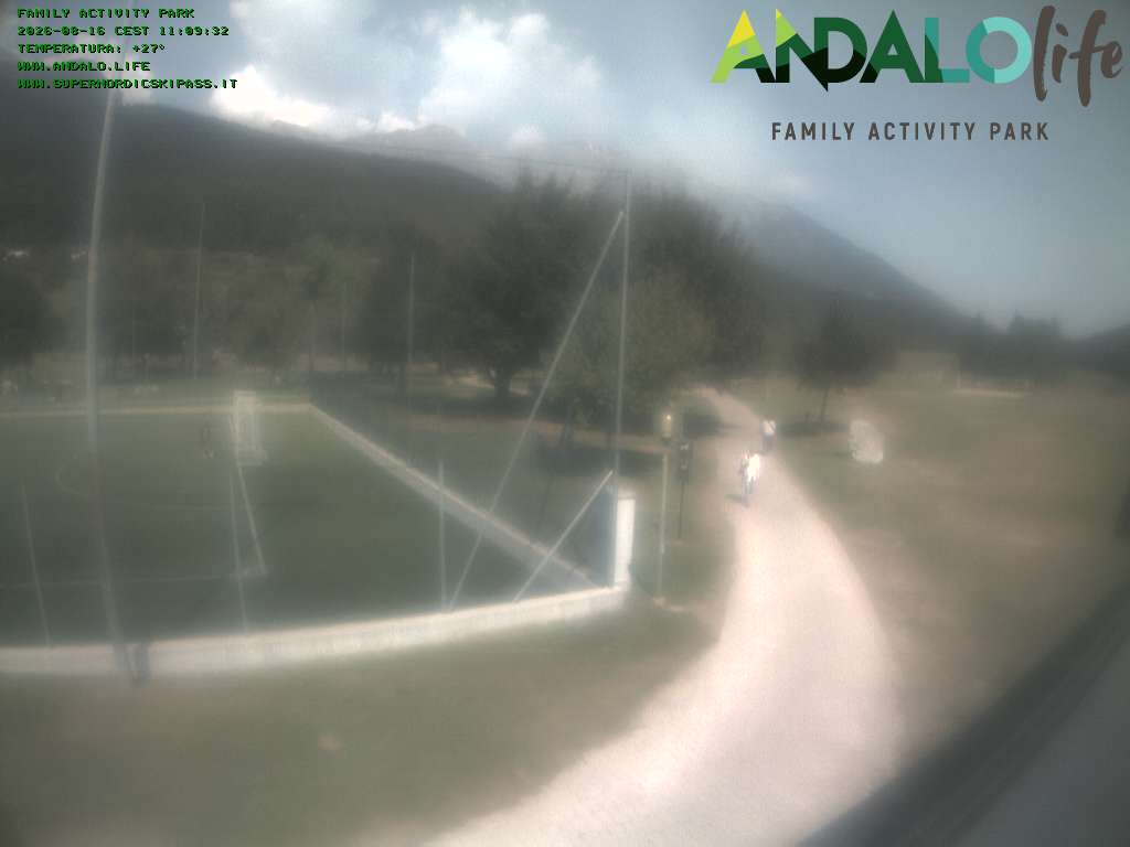 Camera Live Image