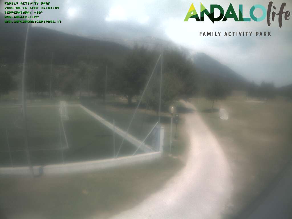 Camera Live Image